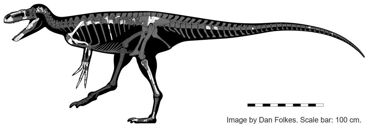 TetZoo's tweet photo. It's taken a few decades to get here but... FINALLY: the #Eotyrannus monograph (the bulk of my 2006 PhD thesis) is out and in print at @thePeerJ. I've published lengthy thoughts at #TetZoo (https://t.co/Jaa7ABXtvD) but here's a thread... https://t.co/Rp9xnwAX4c
