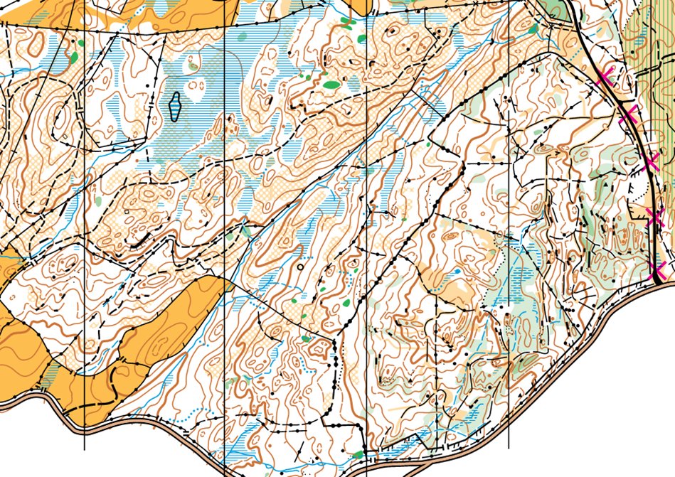 Orienteer Foundation tweet media