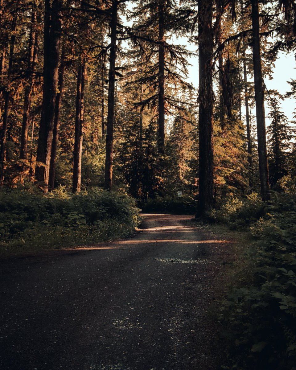 nykopotomas's tweet image. Golden Hour 🌄 
#photography #moodyphotography #moodyscenery #naturephotography #goldenhour