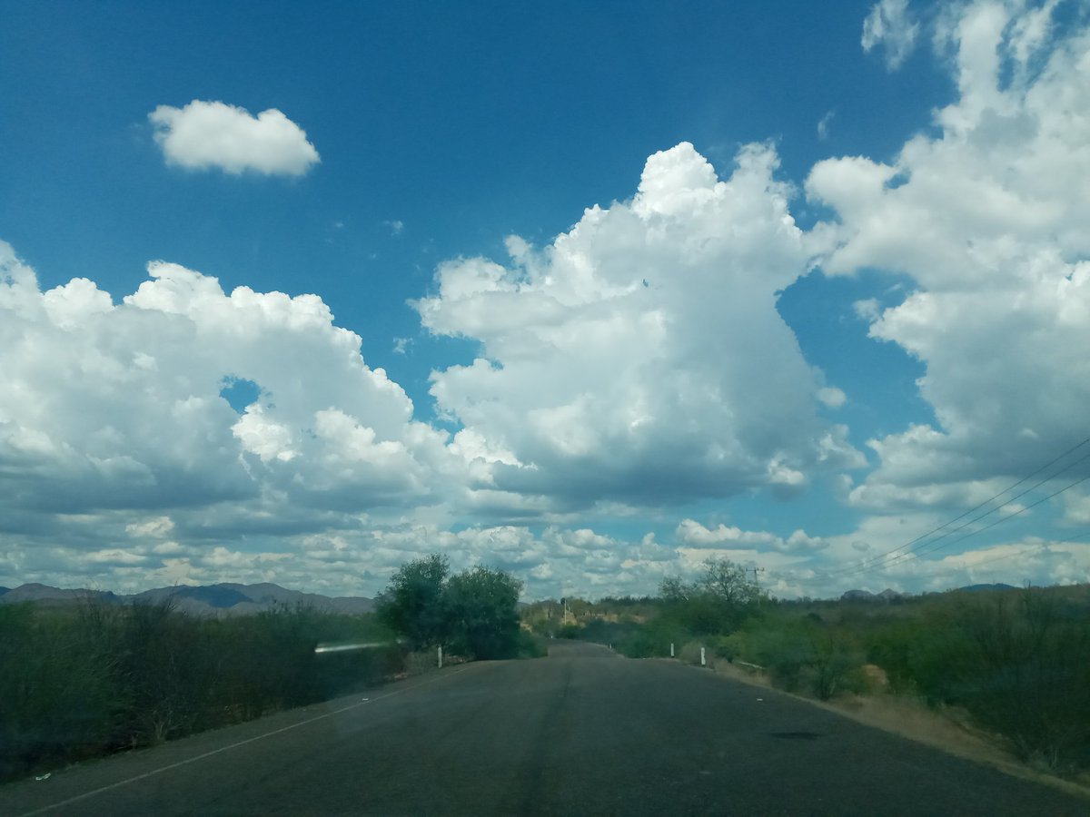 LuzNFG's tweet photo. @itextosoff Sonora🤩 https://t.co/JUXuGXwOeZ