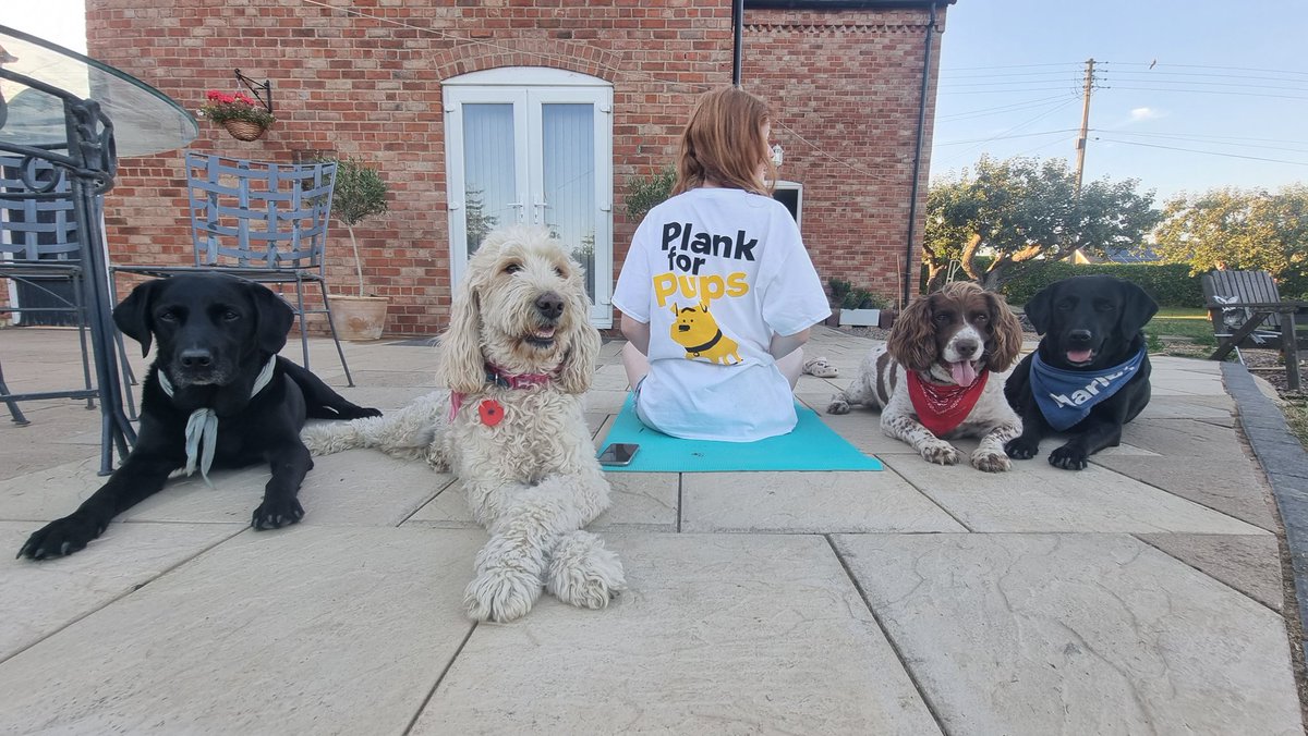 Aviation_Stu's tweet photo. Mary Kate has taken up the July @DogsTrust #Plankforpups challenge with Jay, Lottie Toby & Marley. I'm not sure if it's helpful or a distraction
If you can help Mary reach her goal then please use the link below TY.
https://t.co/ZT7NEljc05 https://t.co/3Zn0pOrAJo