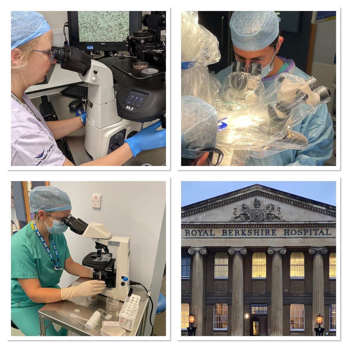 Shafi Wardak tweet media