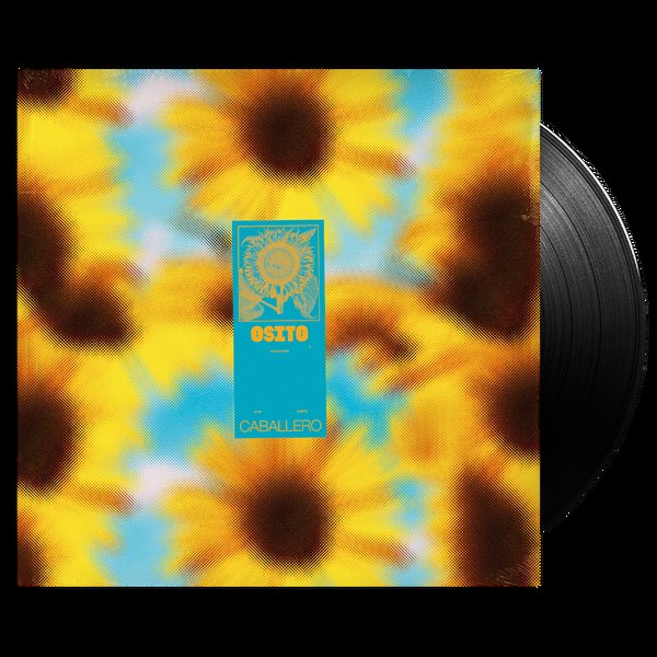 PerrinClment5's tweet photo. @caballerobxl Osito aesthetic 🌻 https://t.co/IWa8fA2xrU