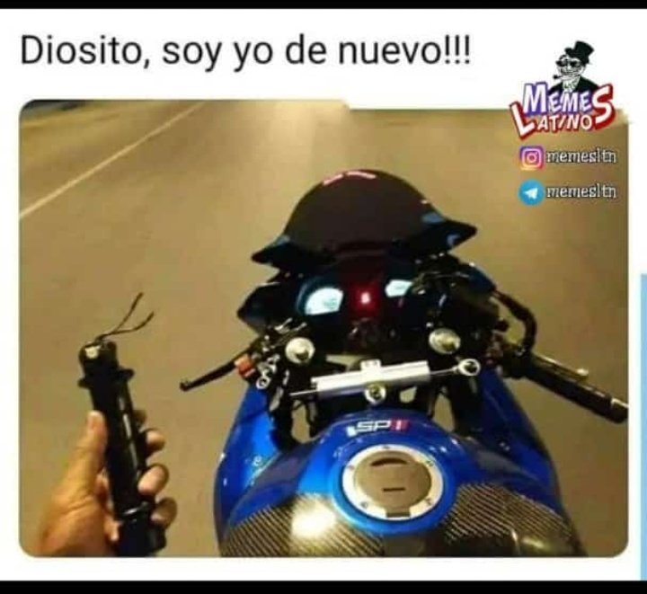 el perro hot tweet media