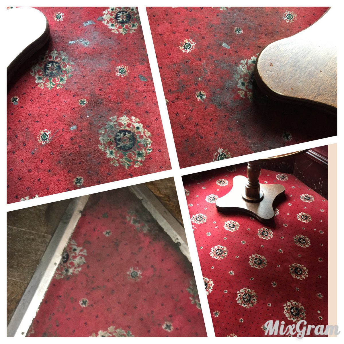 #carpetcleaning 🚙🐈‍⬛ #upholstery