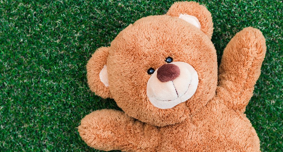 Palm Beach County Library System on Twitter "Sunday is National Teddy