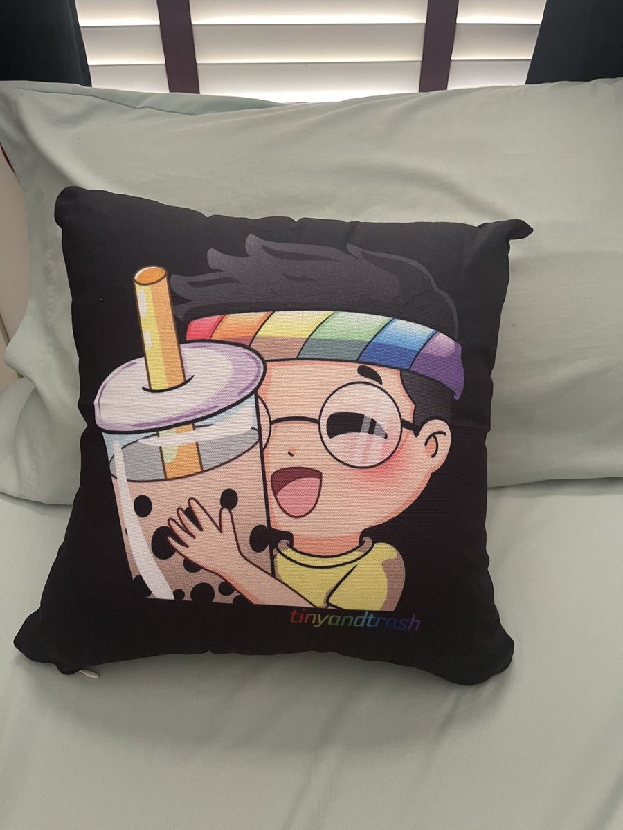 brianajpeg's tweet photo. my pillow from @tinyandtrash’s birthday giveaway just arrived in the mail 🥹🫶🏻😭 https://t.co/ssC27tjAk8