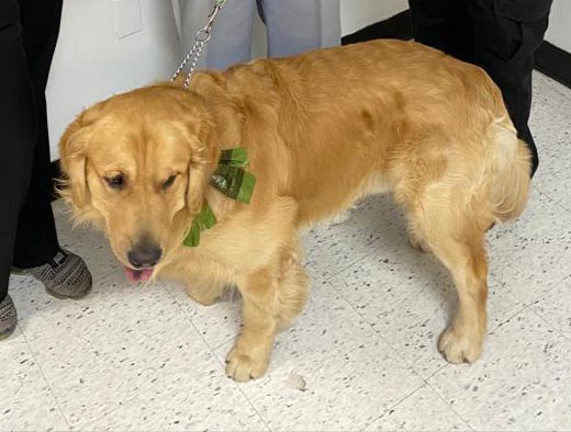 forti_chico's tweet image. #7luglio
Chico scrive:
&quot;Quante volte ho attraversato quel ghiacciaio…&quot;
Leggi qui la lettera di Chico
#chicoforti
#chicofortisonoio
#ColpevoleDInnoceza

👇Link👇❤️
chicoforti.com/quante-volte-h…