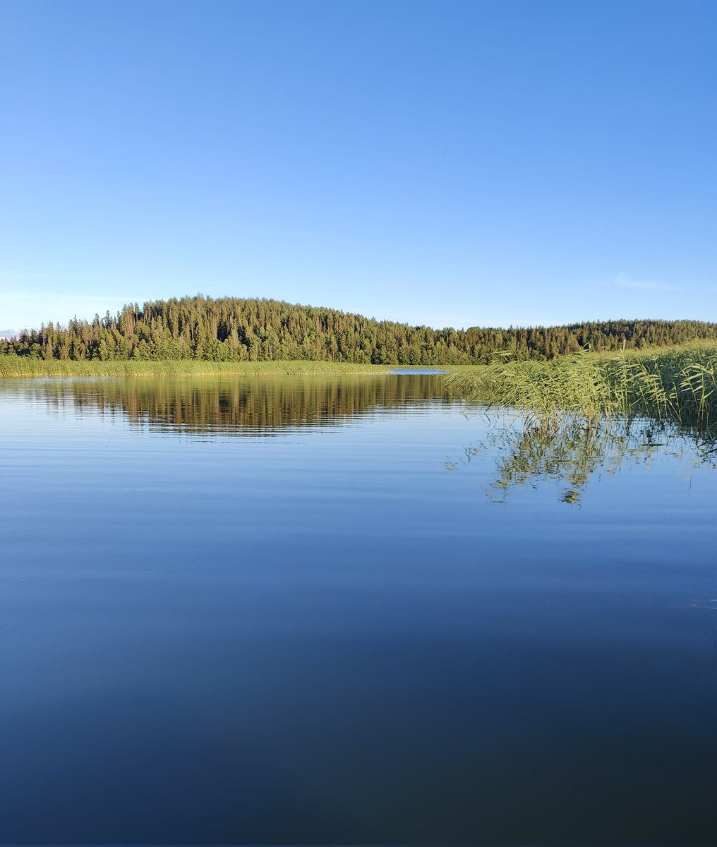 VilleNiittynen's tweet photo. 'Vilken afton,vilken färd. Ser du holmens lilla blomstervärld?
Goda Nana, i dess lunder
sjunga fåglar kvällens under;
vila rodden, låt oss vagga.
Solen ler ju än från kullen, vikens bölja gungar jullen,
aftonvinden för vår flagga.'
J.L.Runeberg 1827
#Raadelma #lyrikfredag https://t.co/RwQftwGUQT