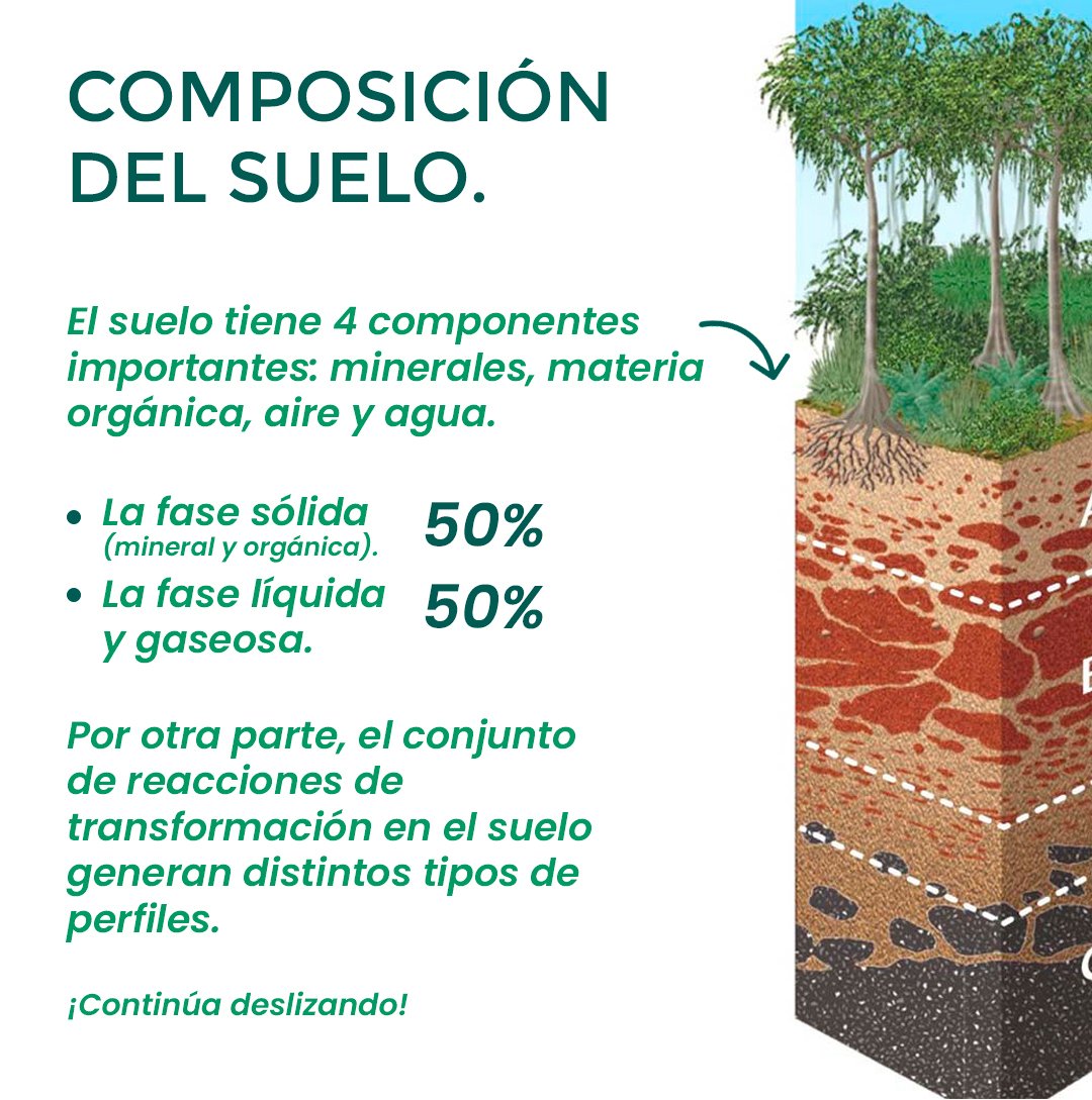 YaaxGroup's tweet photo. ¡Hablemos de suelos!

Hoy es el Día Internacional de la Conservación de Suelos. https://t.co/mOX91b1bRx