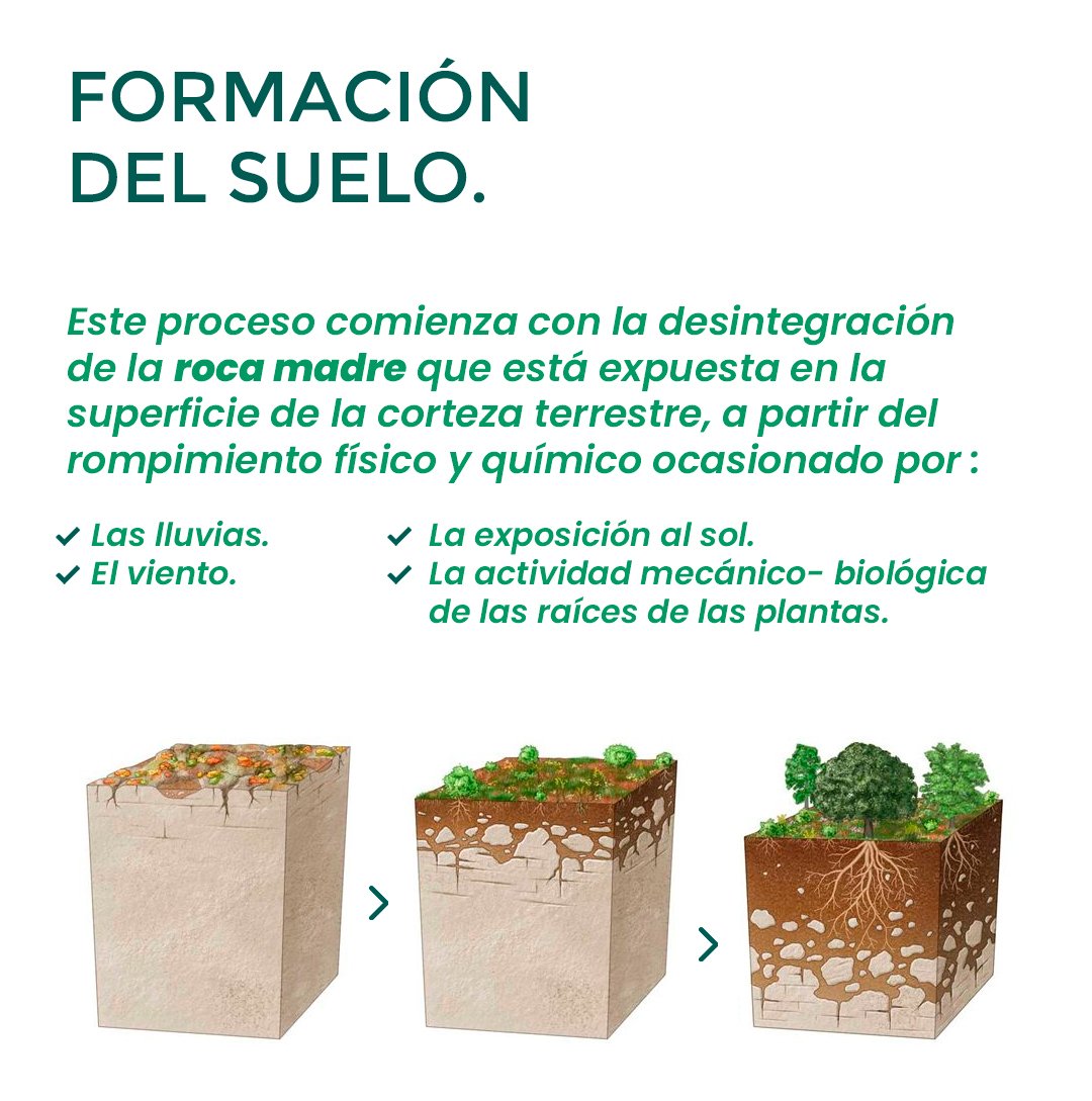 YaaxGroup's tweet photo. ¡Hablemos de suelos!

Hoy es el Día Internacional de la Conservación de Suelos. https://t.co/mOX91b1bRx