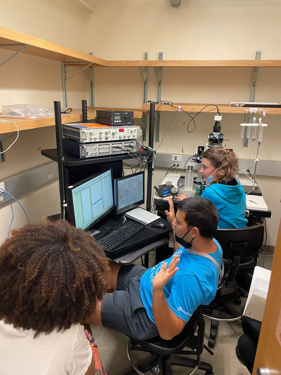 VicenziSilvia's tweet photo. My first whole cell in PFC under the guidance of the legendary @RamosNeuro !! Whooop 🍾🎉🥳  @IndigeNerd we are all waiting for you ! @Edeniacm  @MblNeuro Thanks @Juvalenles for 📸 https://t.co/aazAs2Xxis