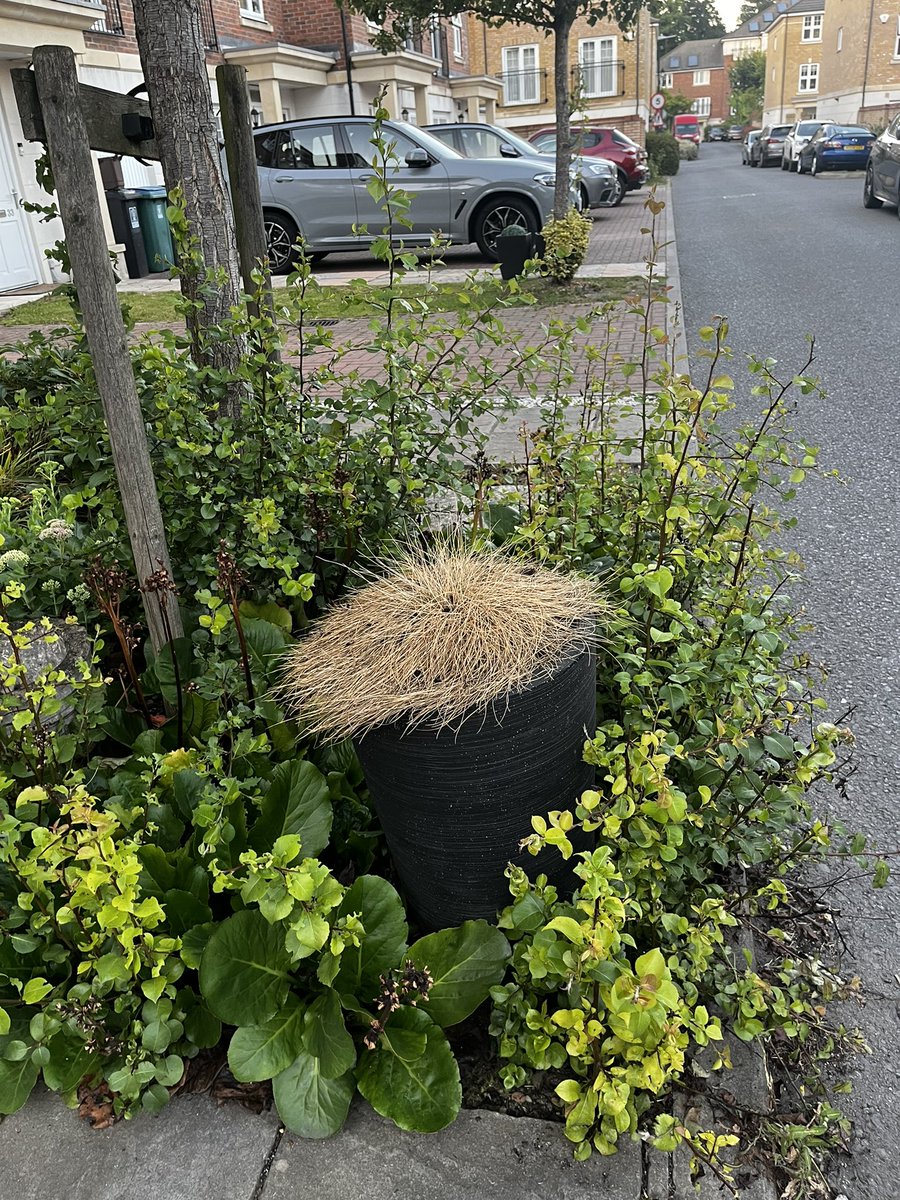 NickRossGower's tweet photo. #BREAKINGNEWS: Boris Johnson in hiding in #Watford en route to #Chequers #itshappening #borisresigns https://t.co/hodN2Dywat
