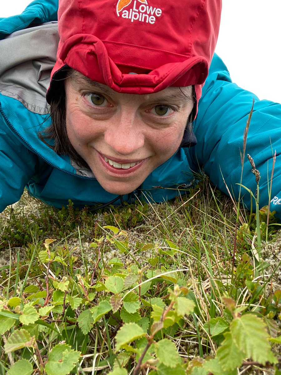 Sarah Watts tweet media