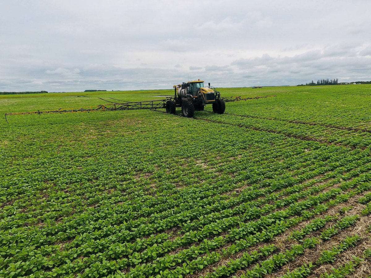 Megan Davidson tweet media