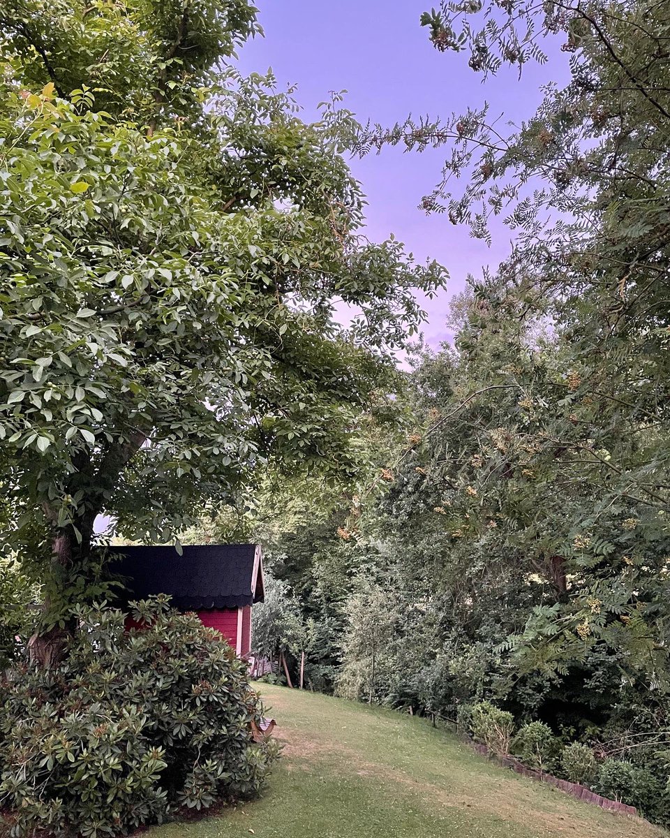 AvB_NEB's tweet photo. Ein Tag Regen 🌧. Einfach mal durchatmen bei angenehmen Temperaturen. Einfach schön 💜 #neueichenberg #sommer2022 #regen #Trockenheit #alexandrafreiinvonbischoffshausen https://t.co/HEdp3t1B59