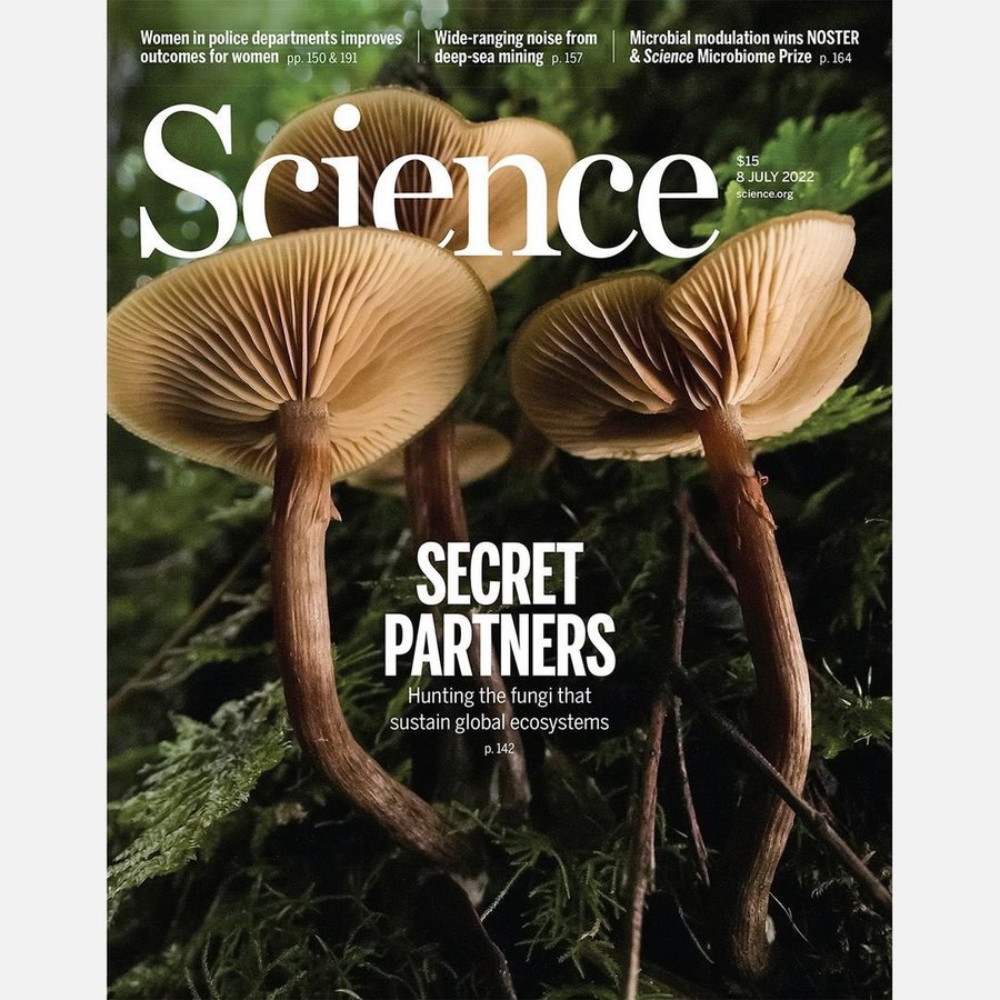 Fundación Fungi y diversidad de hongos chilenos destacan a nivel  internacional en portada de la revista Science