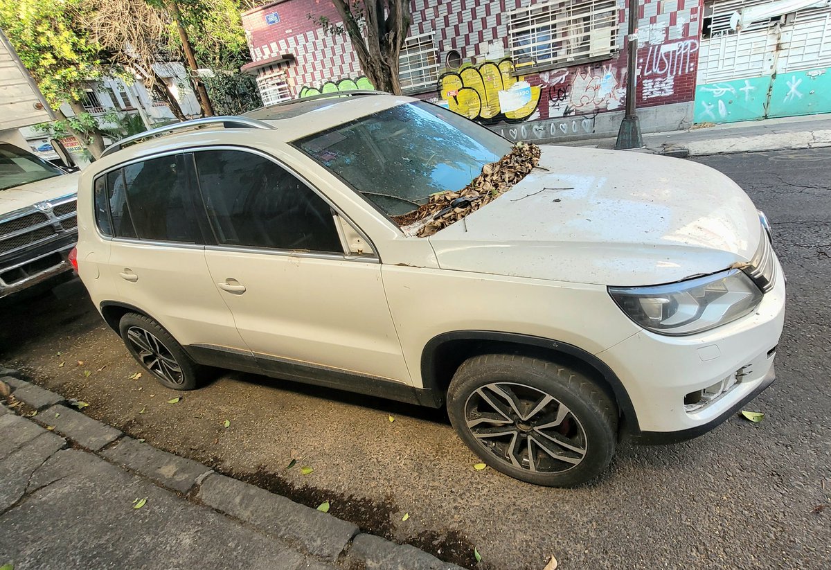 Karacolo's tweet image. @AlcCuauhtemocMx @UCS_GCDMX solicitamos su apoyo para retirar este vehículo abandonado Placas 477-ET♿️
Mal estacionado y obstruye entrada, lo han estado desvalijando (espejos, tapones, faros y otras piezas en su interior). Le está creciendo pasto  @centro_alcaldia @romasur1