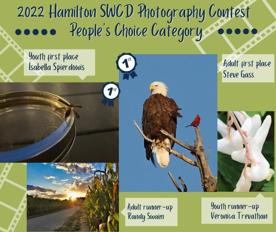 HamiltonSWCD's tweet image. Congratulations to the winning entries for our Indiana Conservation in Color photography contest.  Be sure to stop by our 4-H Fair booth July 14-18 to see all the beautiful photo entries in person. #HamiltonSWCD #ConservationPhotoContest #HamiltonCounty4HFair