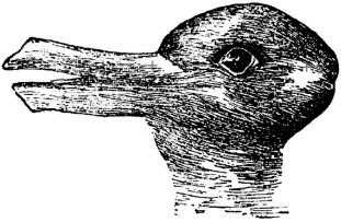 ResNeXtGuesser's tweet image. Image prediction: American alligator
Confidence: 15.2%
Submission by @Philosophagy