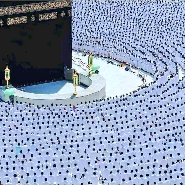 إِذَا رَأَيْتَهُمْ حَسِبْتَهُمْ لُؤْلُؤًا مَّنثُورًا❤️