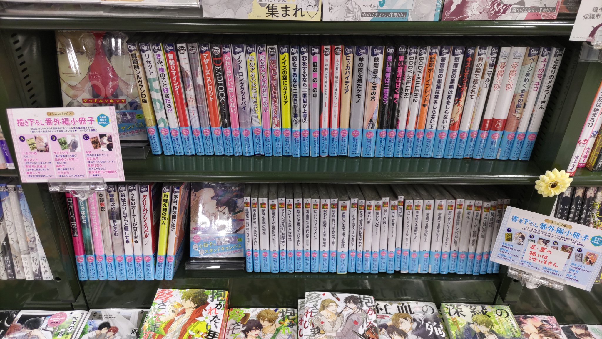 くまざわ書店浅草店 ｂｌ専用アカウント Kbc Asakusa Bl Twitter