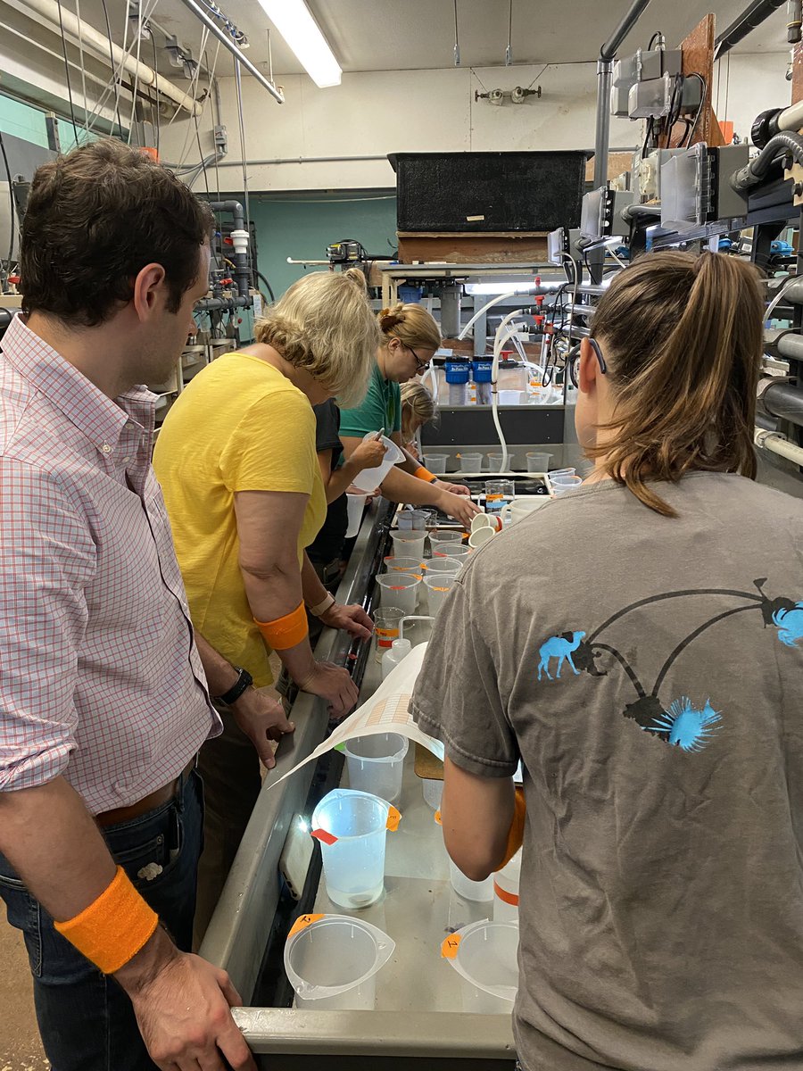 Meghana Pendurthi Parikh tweet media