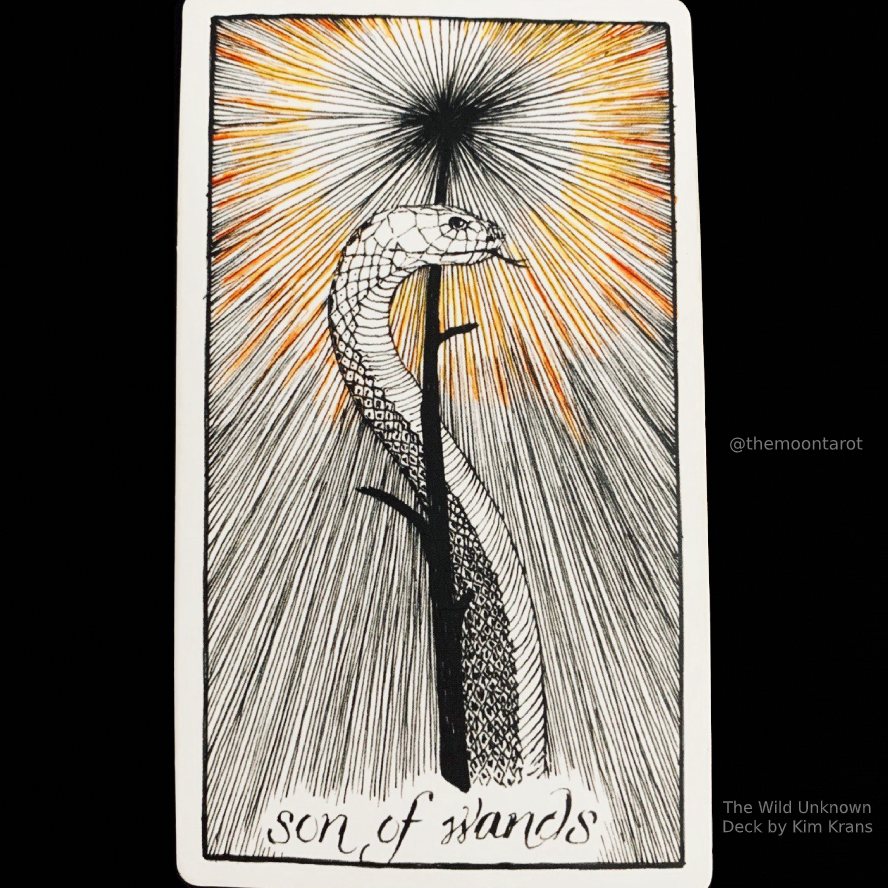 themoontarot_'s tweet photo. Today's Energy Reading: July 11, 2022 https://t.co/2aAoMNEkxM