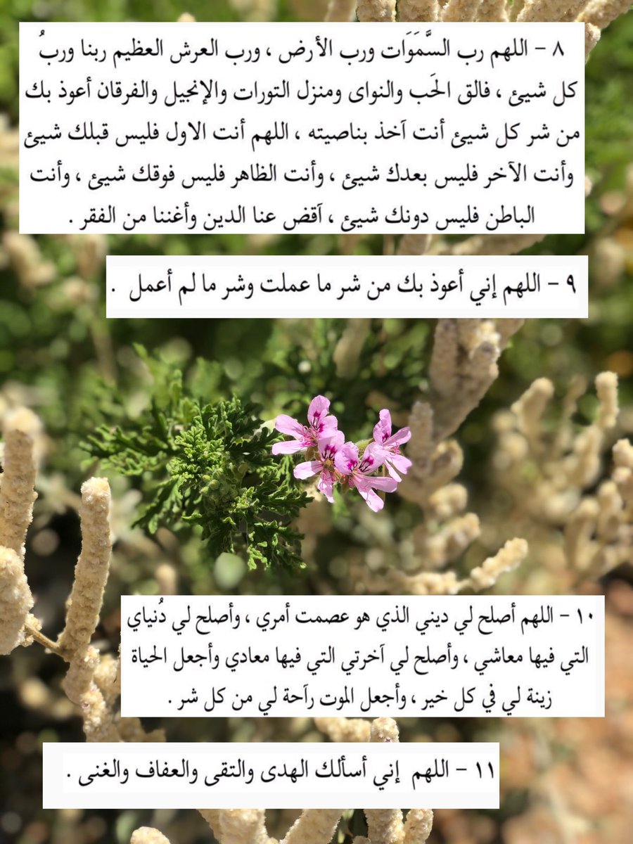 ga_9q's tweet photo. #يوم_عرفه
“لا إله الا الله وحده لاشريك له ، له الملك وله الحمد وهو على كل شيئ قدير"💜 https://t.co/3ekDKaorTz