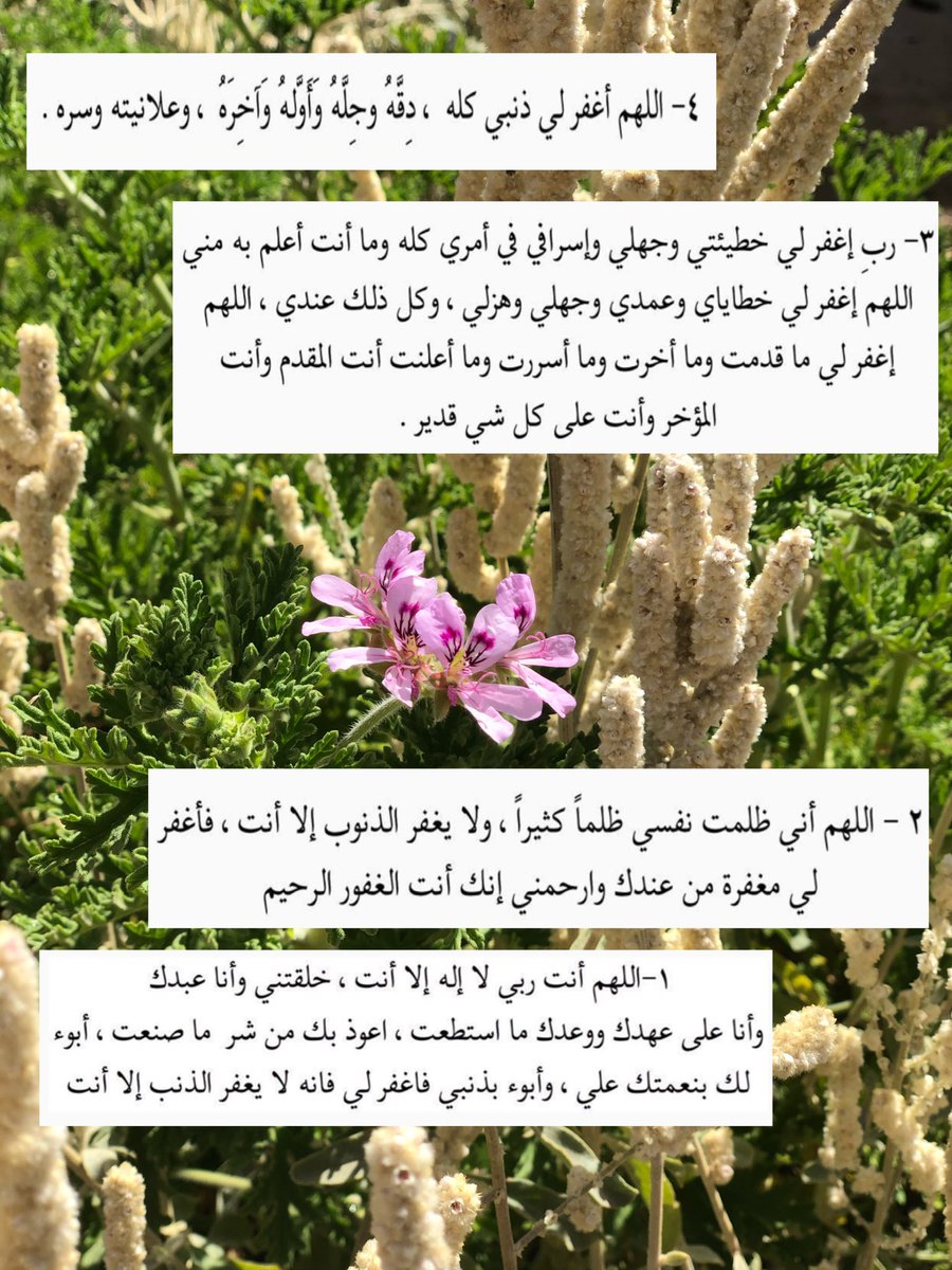 ga_9q's tweet photo. #يوم_عرفه
“لا إله الا الله وحده لاشريك له ، له الملك وله الحمد وهو على كل شيئ قدير"💜 https://t.co/3ekDKaorTz