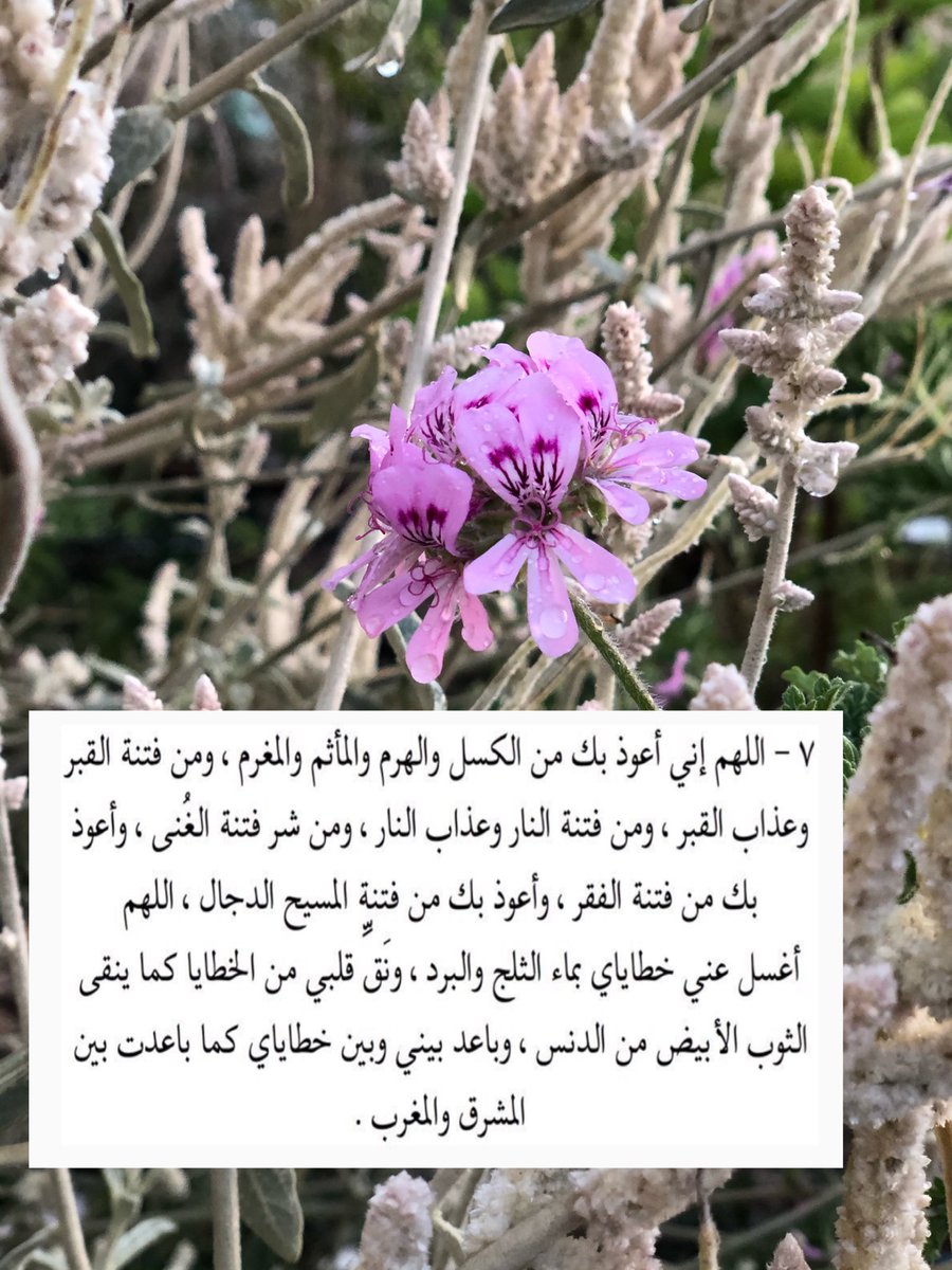 ga_9q's tweet photo. #يوم_عرفه
“لا إله الا الله وحده لاشريك له ، له الملك وله الحمد وهو على كل شيئ قدير"💜 https://t.co/3ekDKaorTz