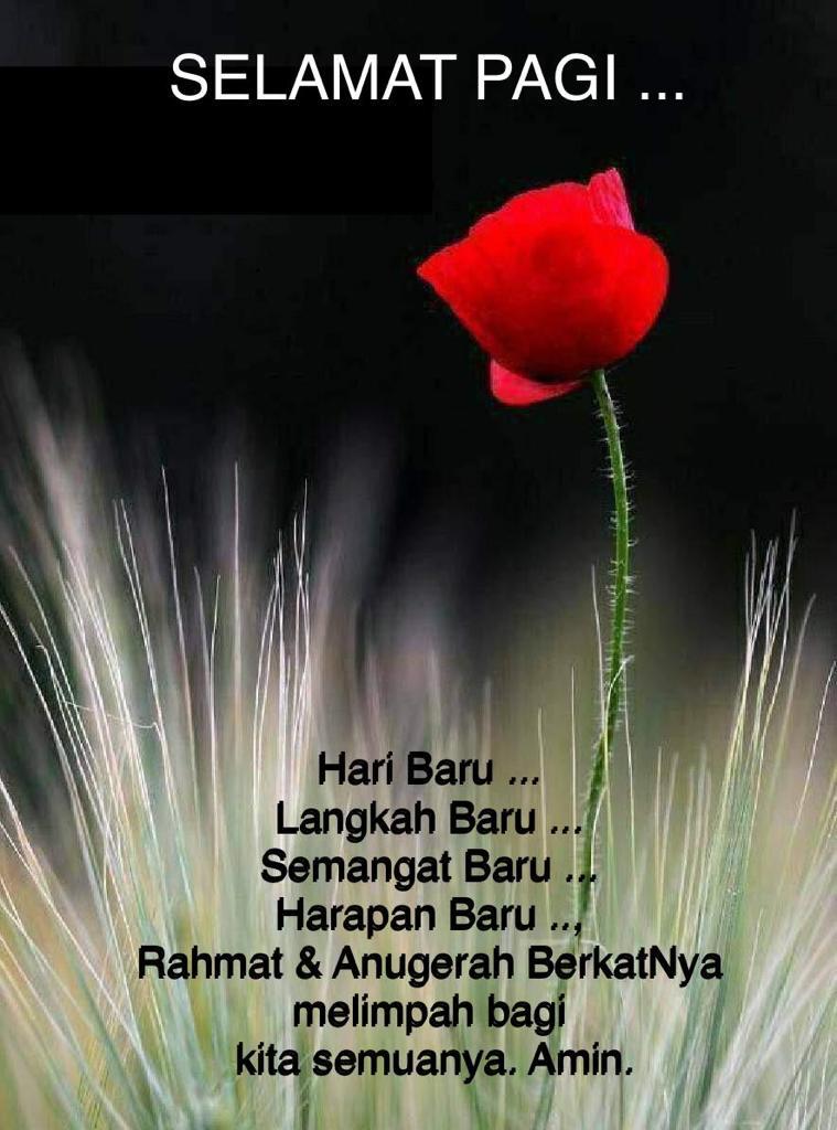 Bintan Moesa (@moesabintan) on Twitter photo 