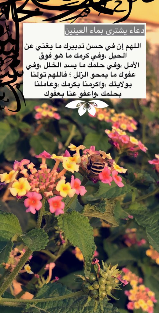 ga_9q's tweet photo. #ليلة_الجمعة #يوم_عرفه
"اللهم صل وسلم على سيدنا محمد"💛 https://t.co/xcOqvHsOHW