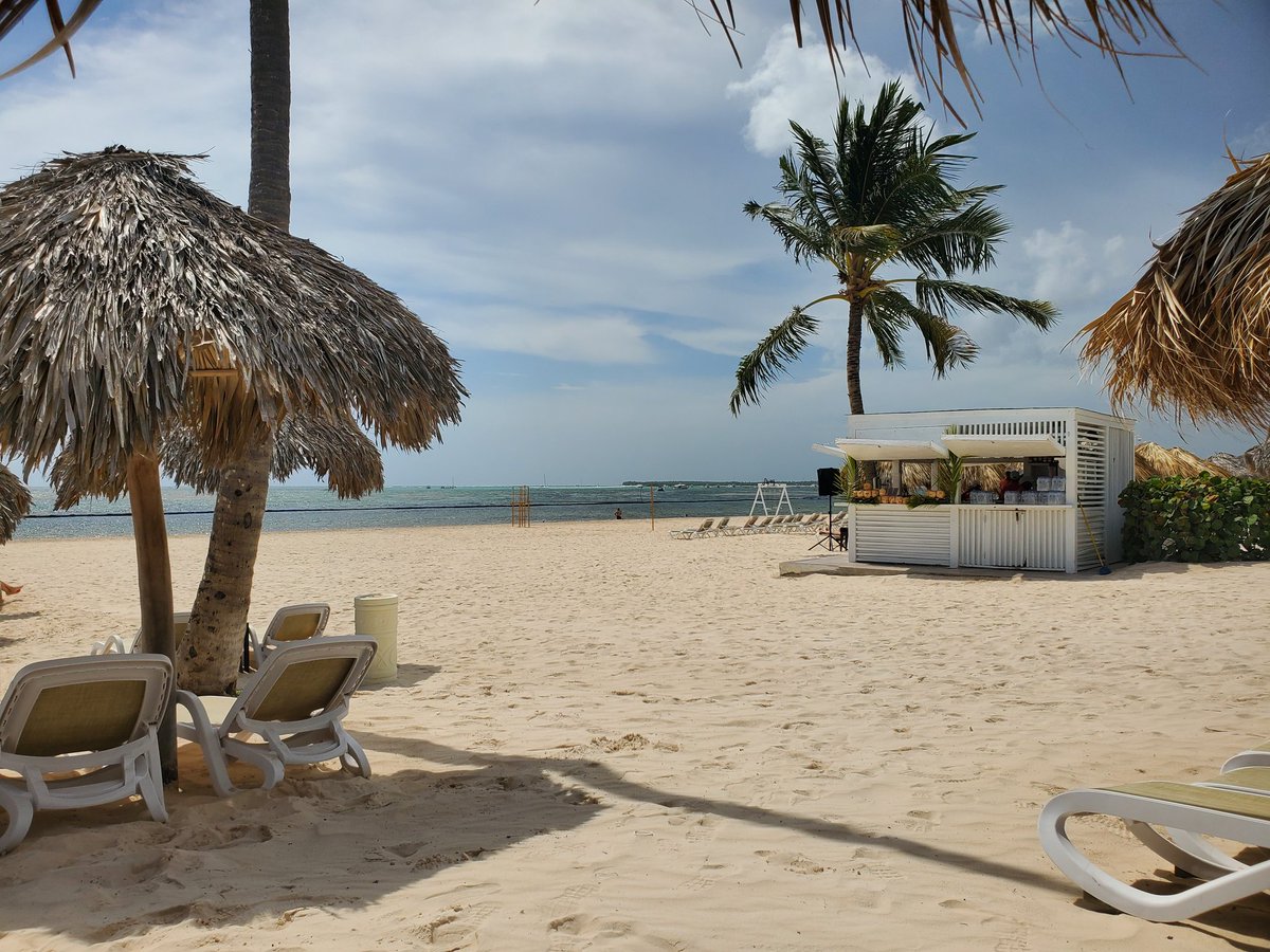 petewiser's tweet photo. #LifeIsABeach https://t.co/ZxXwaKa7fD