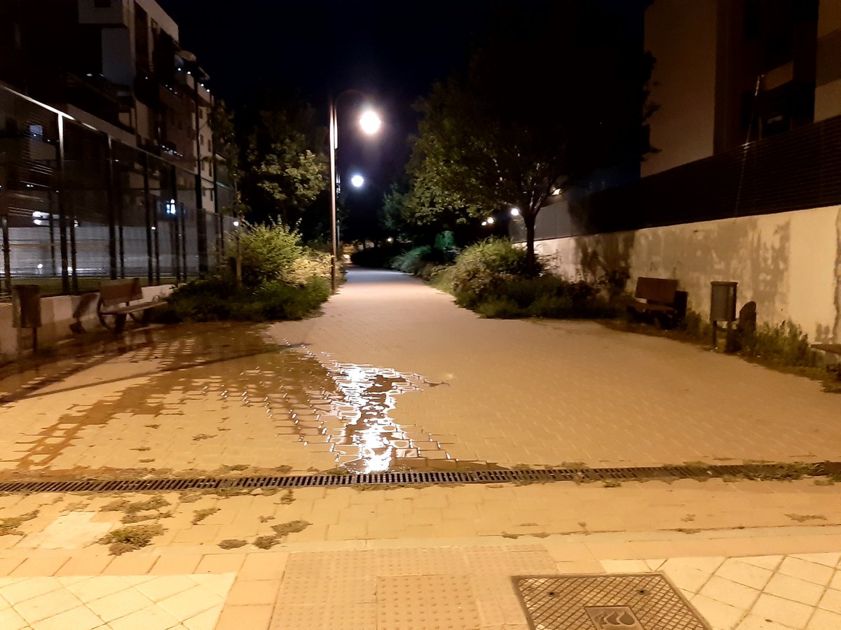 Rubenne86's tweet photo. @AytoFuenlabrada hagan algo y revisen los sistemas de riego del vivero porque con la sequía que tenemos esto no es normal... calle gardenias claveles laurel etc https://t.co/Cv2DnhAkDH
