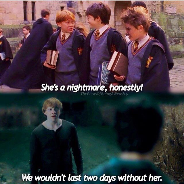 Ron's view of Hermione