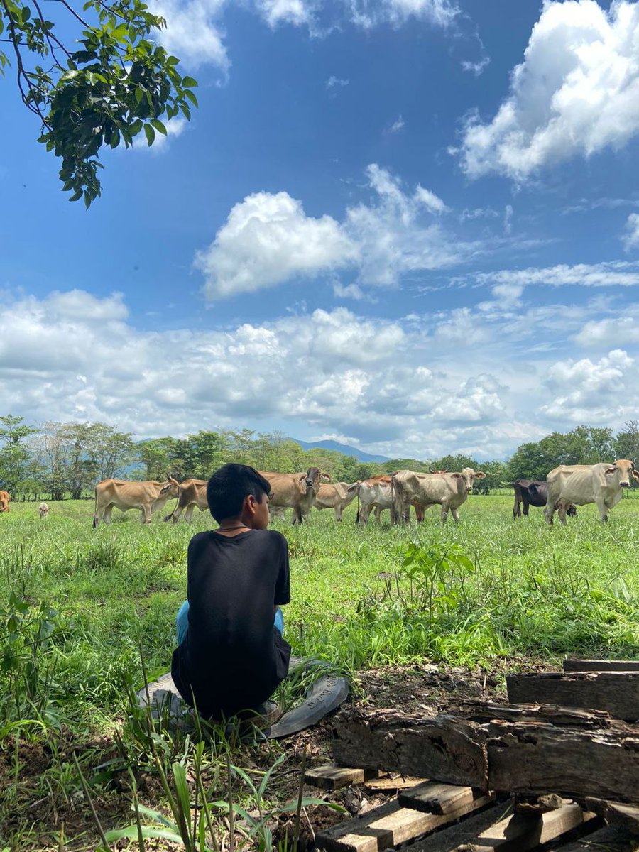 SEMADET Jalisco tweet media