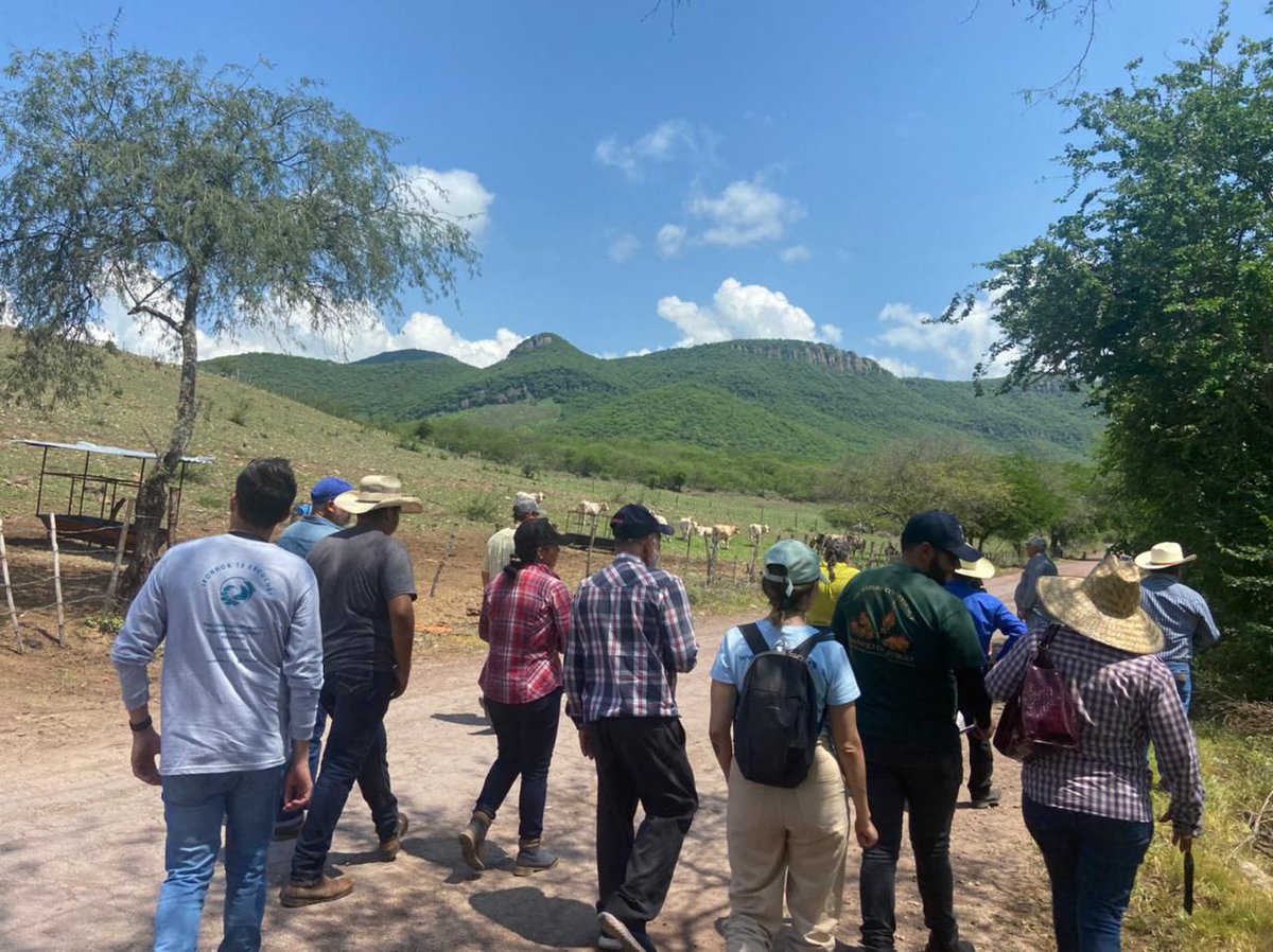 SEMADET Jalisco tweet media