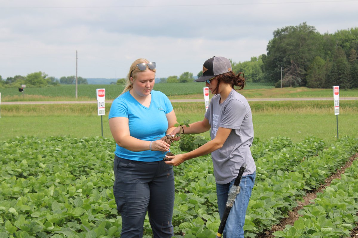 AgPartnersMN's tweet photo. This morning Ag Partners agronomy interns gave individual reports on what they've learned from working with our staff and growers this spring. They also took a close look at the corn & soy planted here to discuss stages of the plants & potential they see. #whatsyourpassion https://t.co/Zvv4jqV3C2