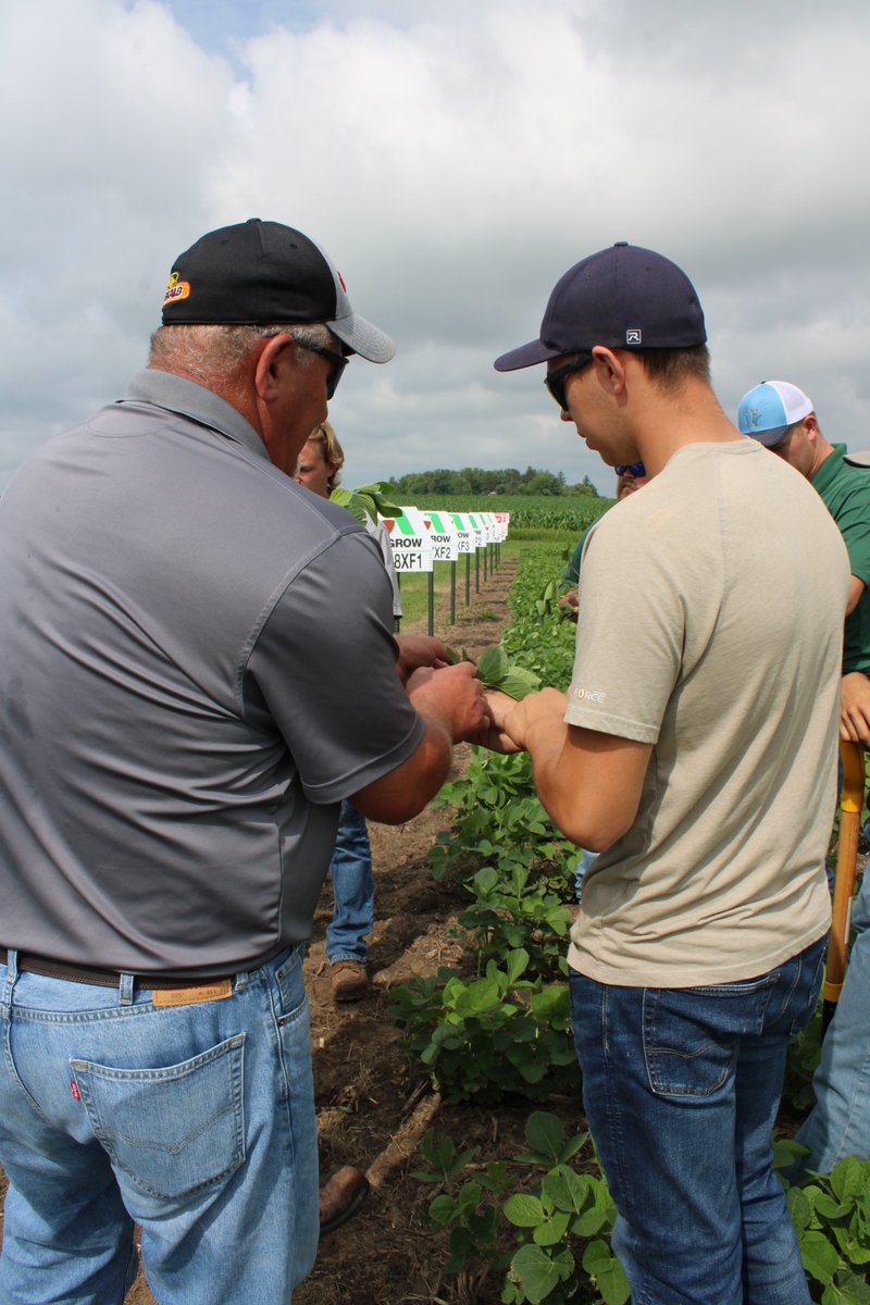 AgPartnersMN's tweet photo. This morning Ag Partners agronomy interns gave individual reports on what they've learned from working with our staff and growers this spring. They also took a close look at the corn & soy planted here to discuss stages of the plants & potential they see. #whatsyourpassion https://t.co/Zvv4jqV3C2