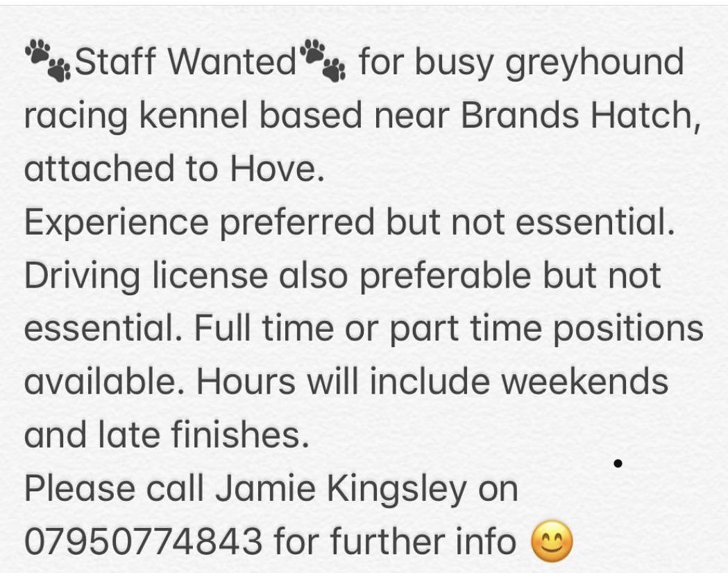 jamie kingsley tweet media