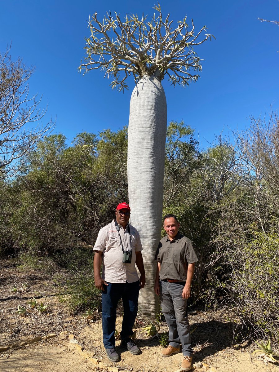Mega find at Arboretum d'Antsokay in Toliara, Madagascar: this year's CEPF photo contest winners Lily Arison Rene de Roland of <a href="/peregrinefund/">The Peregrine Fund</a> (left) and <a href="/AndryPetignat/">Andry</a>. Check out their winning photos here: cepf.net/stories/announ…