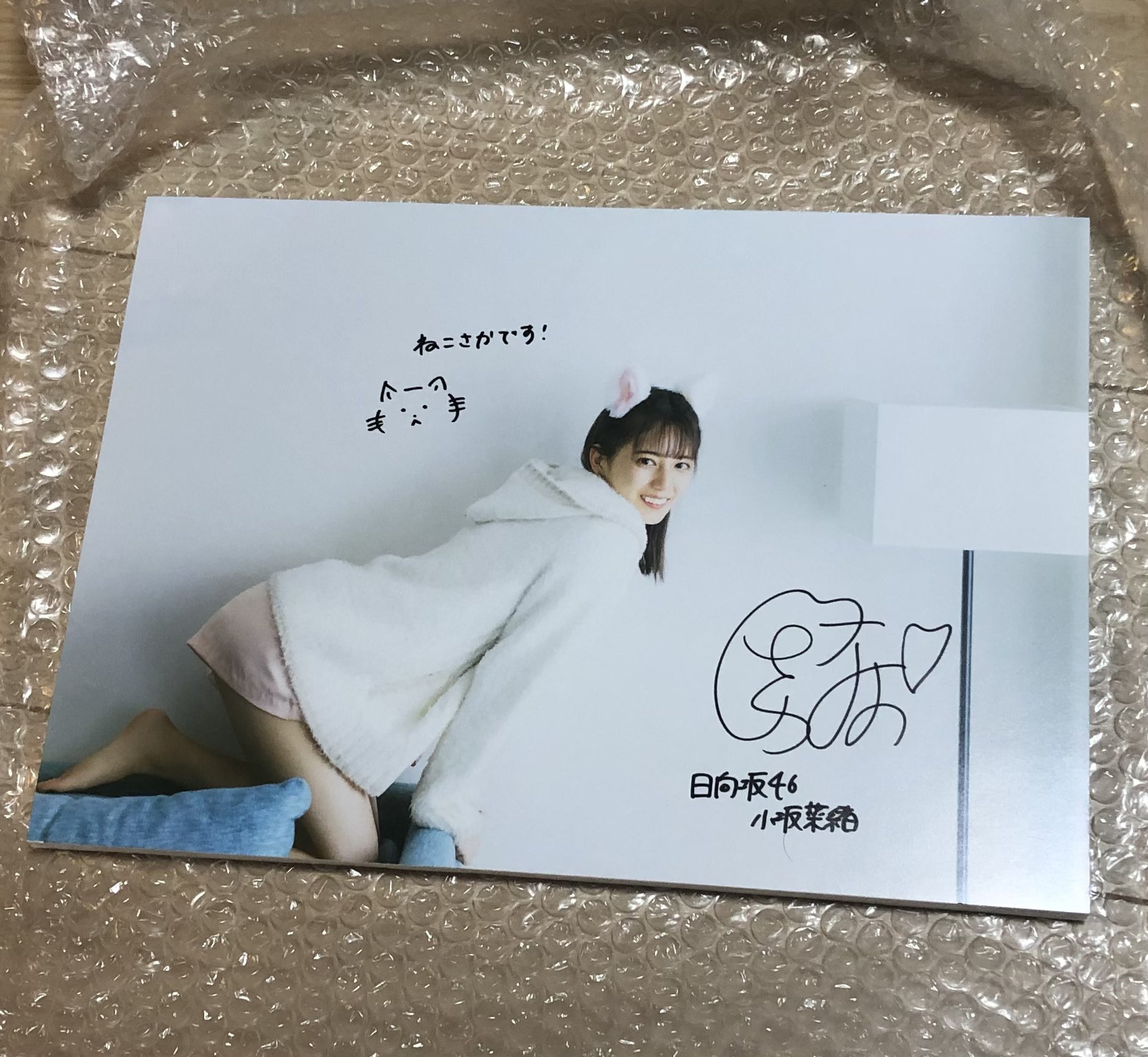 小坂菜緒 サイン入りパネル