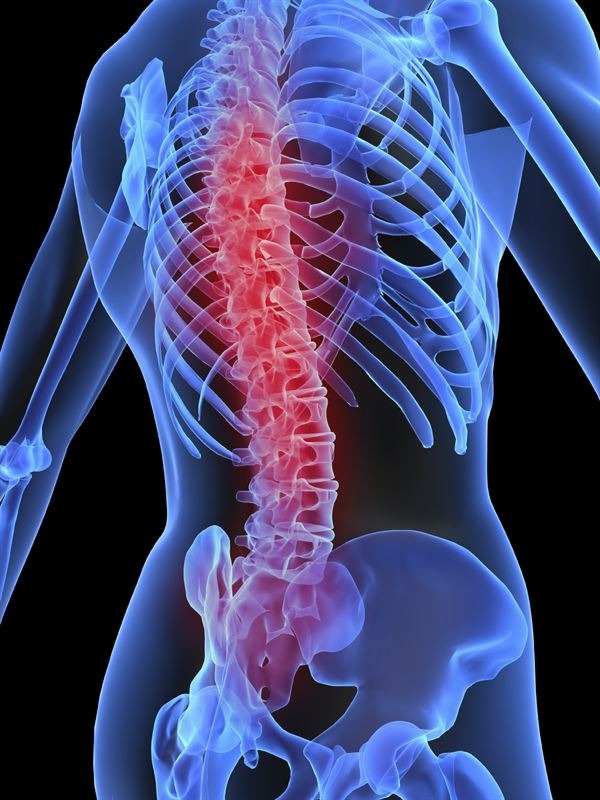 2HappyWheels's tweet photo. #SALUD: ¿Qué son las lesiones medulares y cuáles son los factores de riesgo?* Entérate aquí: https://t.co/rDWJZ8bOB9 #WheelsOfHappiness #RuedasDeEsperanza #LesiónMedular https://t.co/bQX0N66Lld