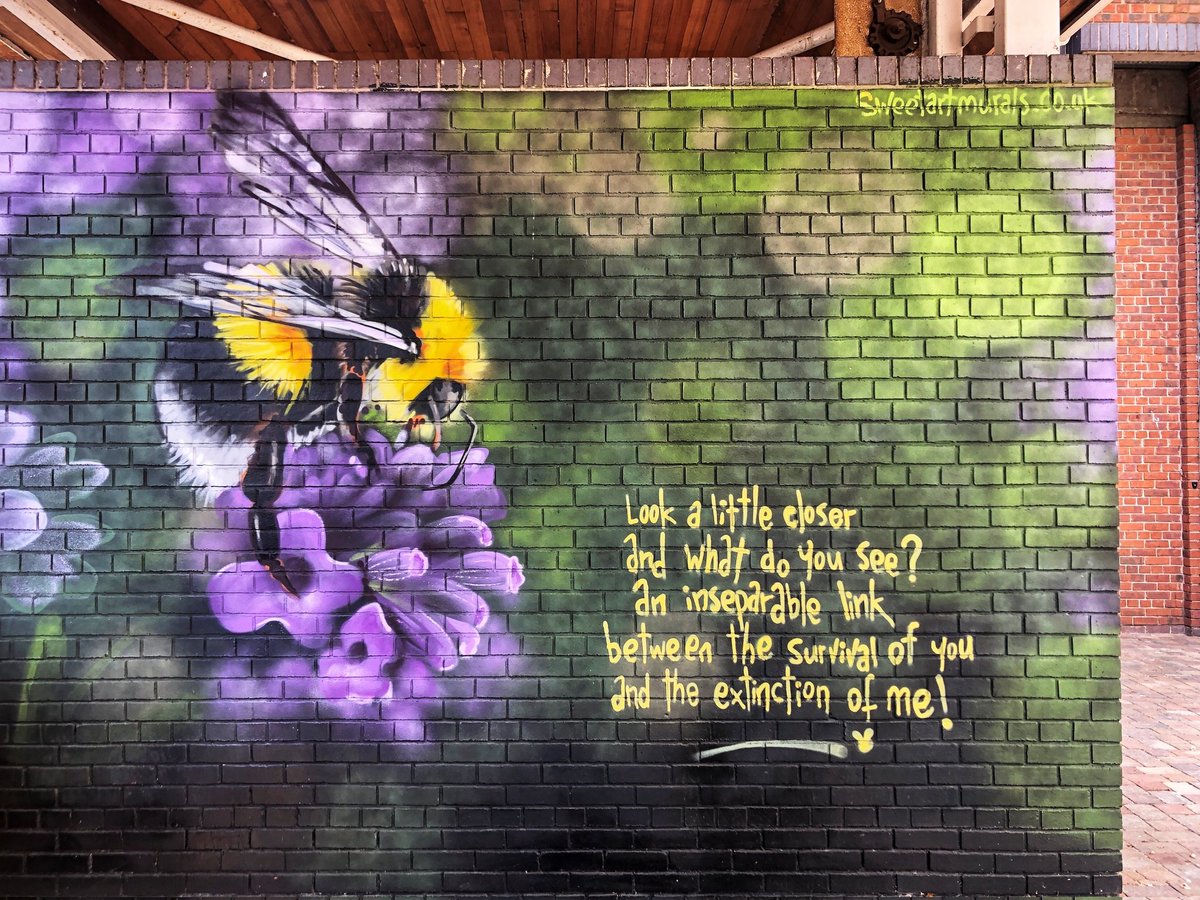 My kind of mural, by Sweet Art Murals for Worcester Paint Festival

#Worcester #Worcestershire #worcesterpaintfestival #streetart #bees #beecause #beesneeds #savethebees #pollinators #peopleneedpollinators #wildlife #wellbeing #community #communitygardeners #communityconnection