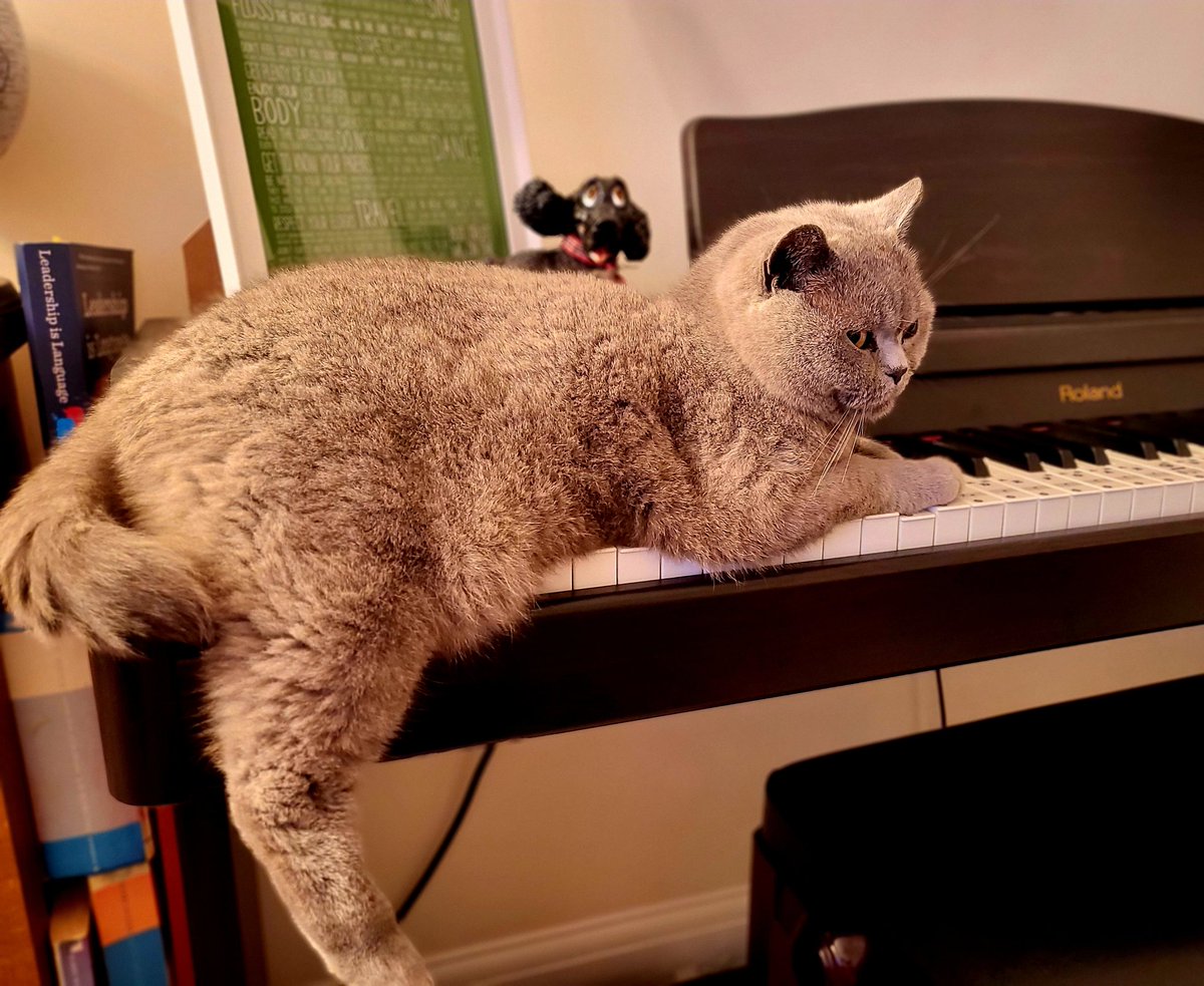 There should be laws against this ..... she is taking liberties! Perhaps I need to play more so she doesn't think it is an ornamental piece of furniture!