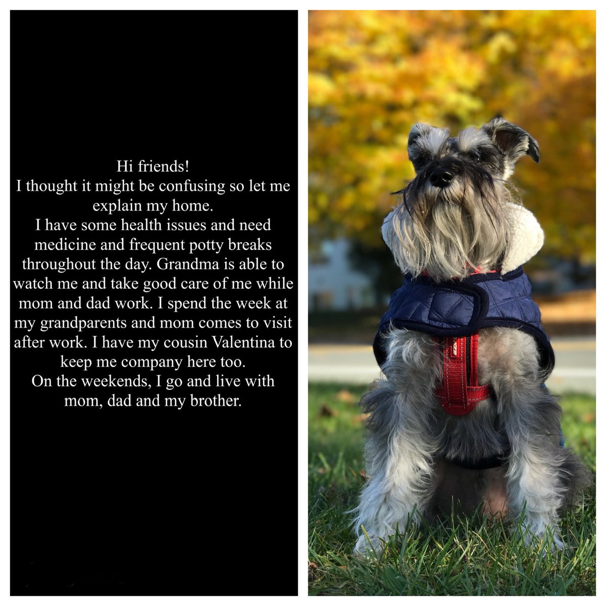 Blue 🌈 tweet media