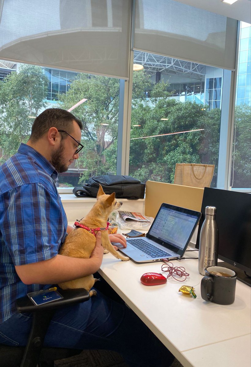 mavirucha's tweet image. - ¡Dale humano, a trabajar, que la PURINA no se compra siendo lindo nomás!
