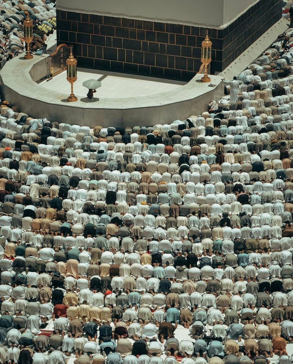Quraan_Sayings's tweet photo. Ya Allah, accept the Hajj of the Hujjaj,
Forgive their sins and elevate their ranks and allow us  to perform Hajj too, Aameen♥️ https://t.co/TPl7n65Q3o