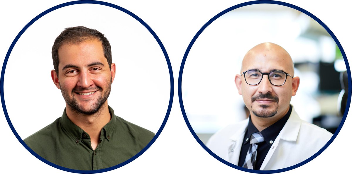 J_Immunol's tweet photo. #PillarsofImmunology: Long live the #plasmacell: The basis of sustained #humoralimmunity by @MariosKoutsakos &amp; #JI_editor @TheBcellArtist 
@UniMelbMDHS @WUSTLmed #ReadTheJI https://t.co/zZLHjAU3Pu https://t.co/HgZhvQx09m